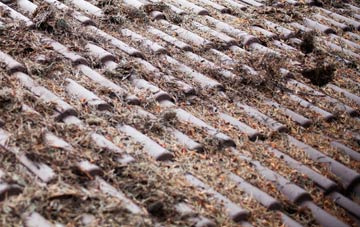 Compton Dundon roof cleaning companies