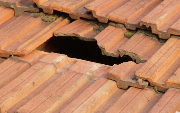 roof repair Compton Dundon, Somerset